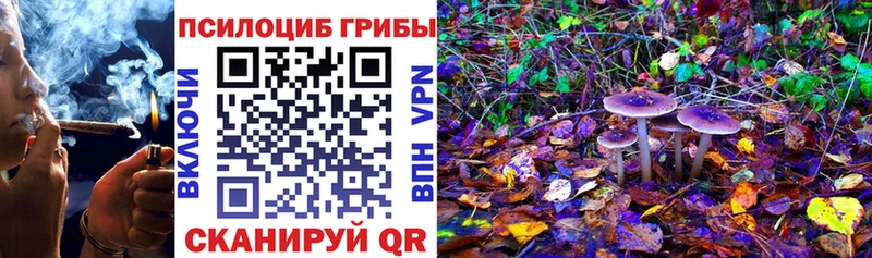 Галлюциногенные грибы Cubensis  Берёзовский 